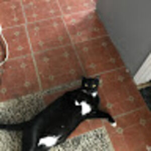 Meet your Posher, Adrienne